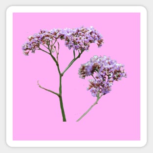 Purple flowers with a baby pink background Sticker